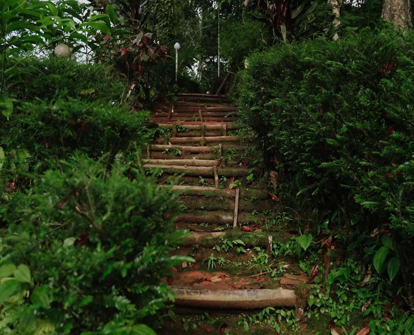 Resort Ela Ecoland Nature Retreat Munnar
