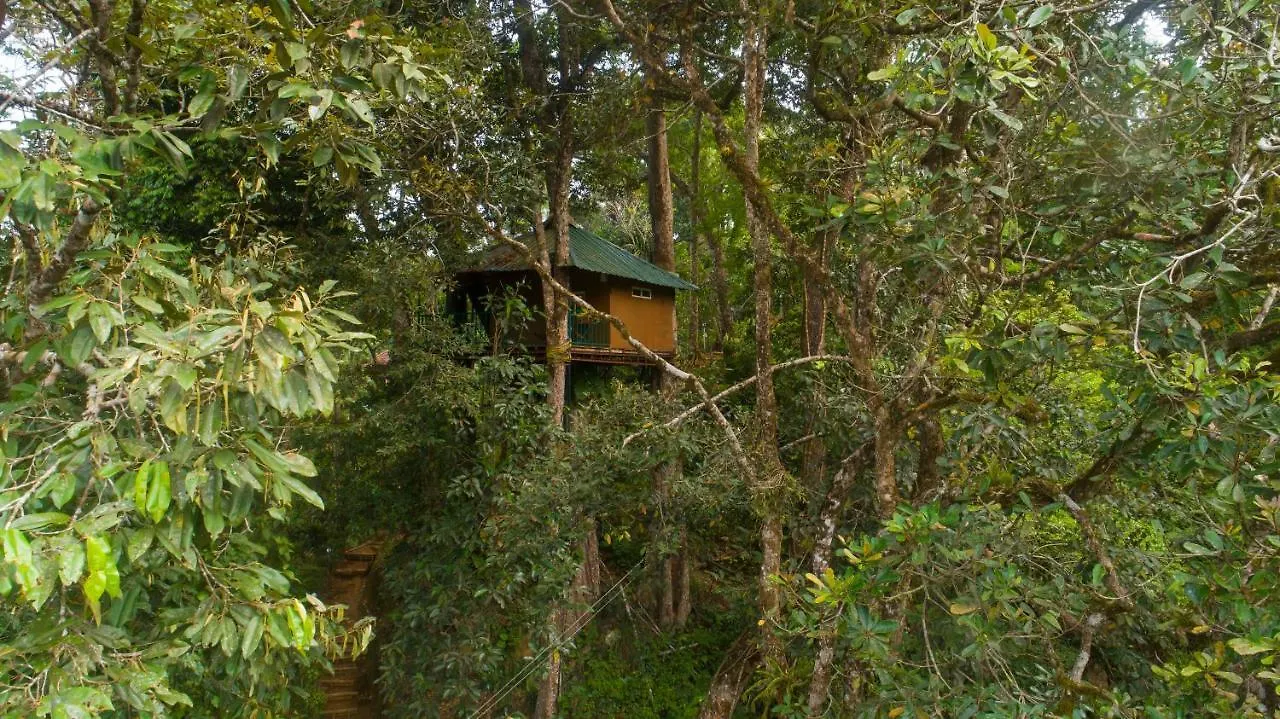 Ela Ecoland Nature Retreat Hotel Munnar 3*,