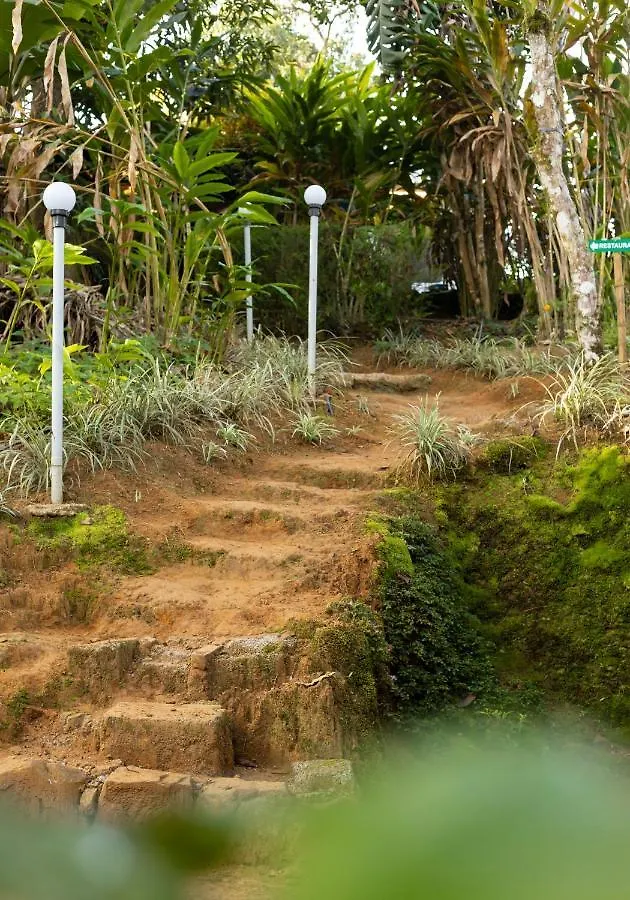 Ela Ecoland Nature Retreat Hotel Munnar India