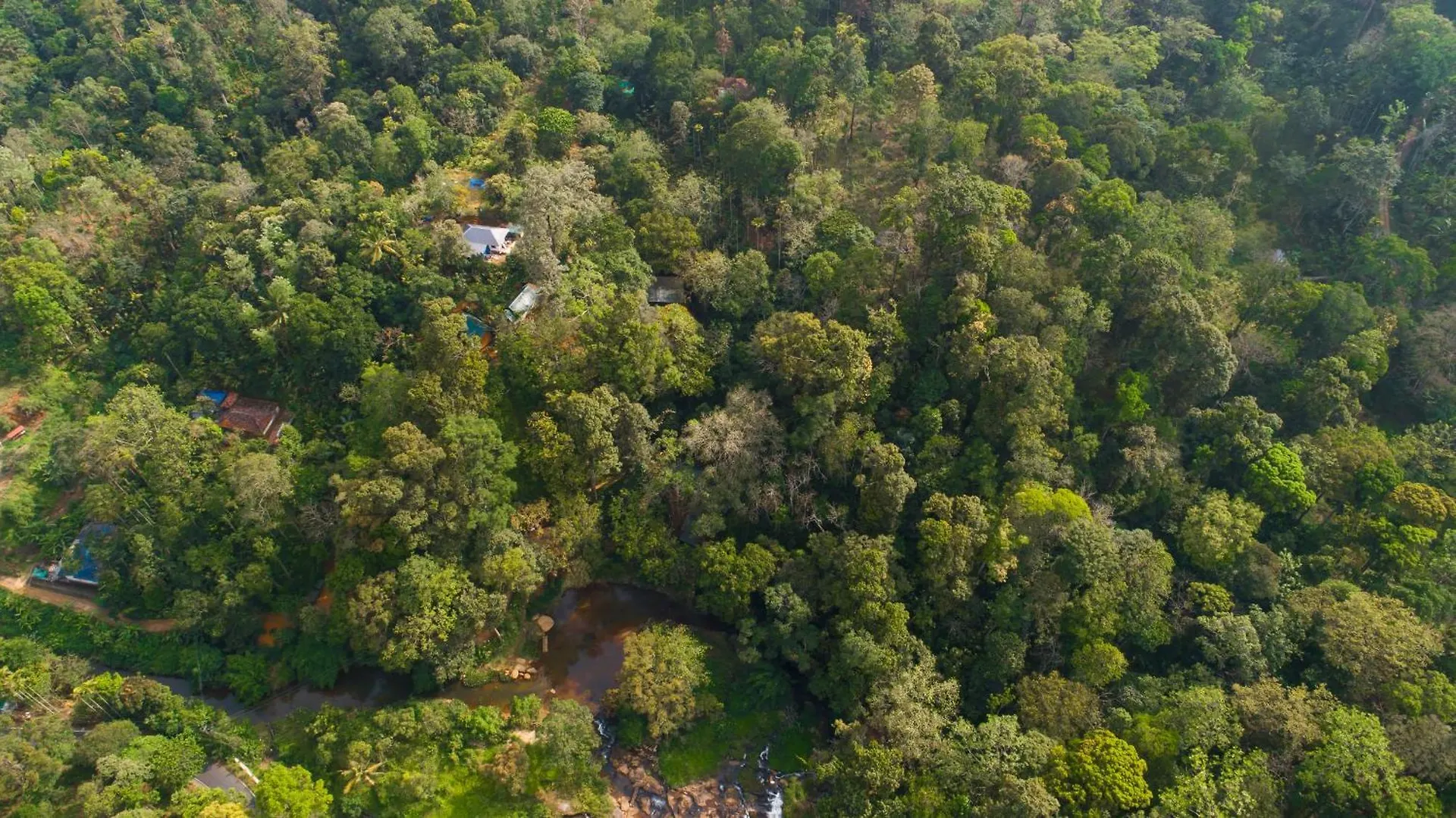 Resort Ela Ecoland Nature Retreat Hotel Munnar